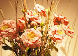 長(zhǎng)沙家居飾品風(fēng)尚 絲露花雨與愛(ài)家共筑生活美學(xué)
